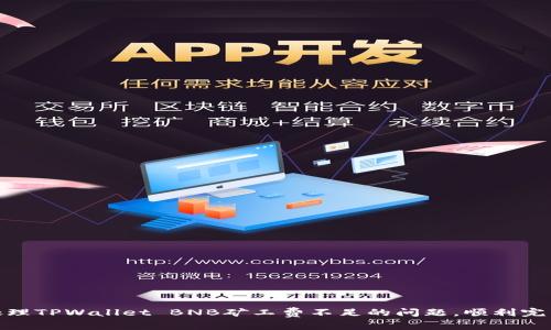 如何处理TPWallet BNB矿工费不足的问题，顺利完成任务