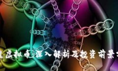 赞皇虚拟币：深入解析及投资前景分析